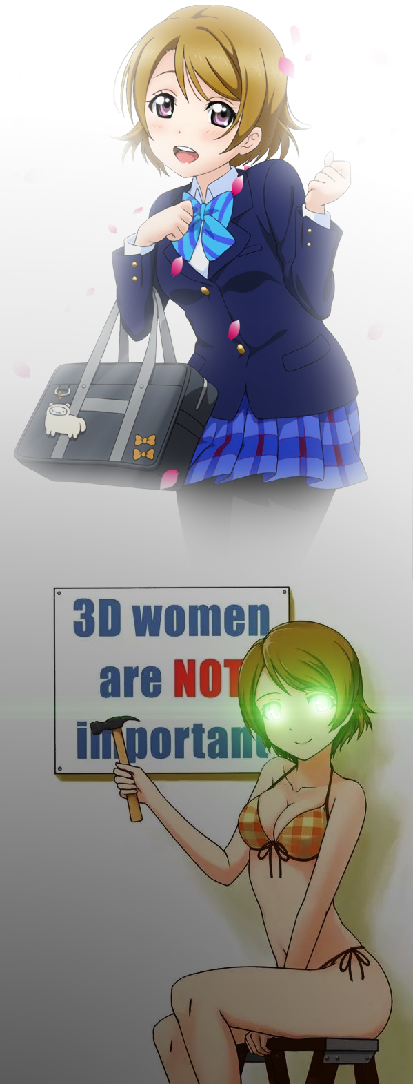 Two images spliced together.  On top, Hanayo poses cutely in her school uniform, with her bag hanging from her arm.  A few sakura petals flutter down before her.  All in all, she epitomizes the joy and hope synonymous with youth.  Below, the image darkens.  Hanayo sits atop a ladder, wearing an orange-plaid bikini.  She's holding a hammer, having just affixed a sign to the wall that reads '3D women are NOT important'.  There's a distinct menace to her glowing eyes and light smile.